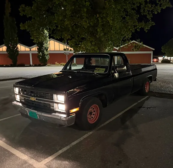 Chevrolet Silverado 1500 1982 photo 2