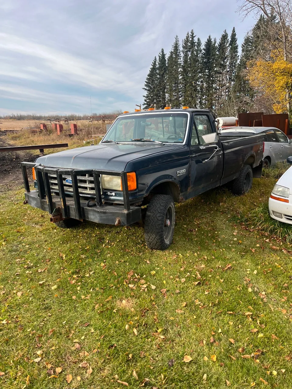 Ford F250 1989 photo 2