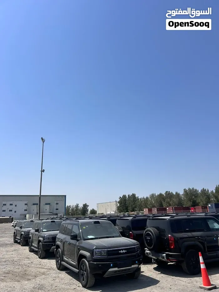 BYD Leopard 5 2026 photo 3
