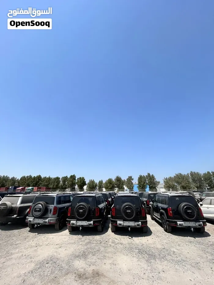 BYD Leopard 5 2026 photo 2