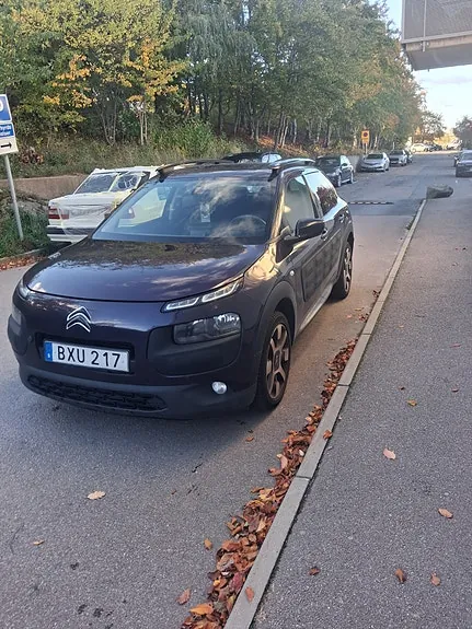 Citroen C4 Cactus