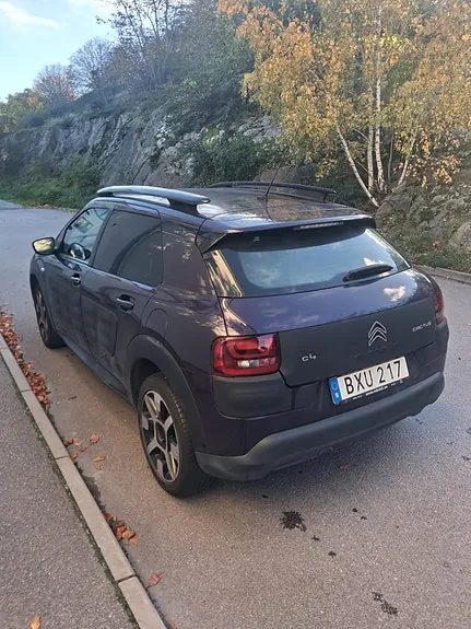 Citroen C4 Cactus 2014 photo 2