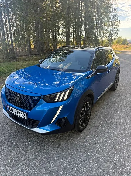 Peugeot E-2008