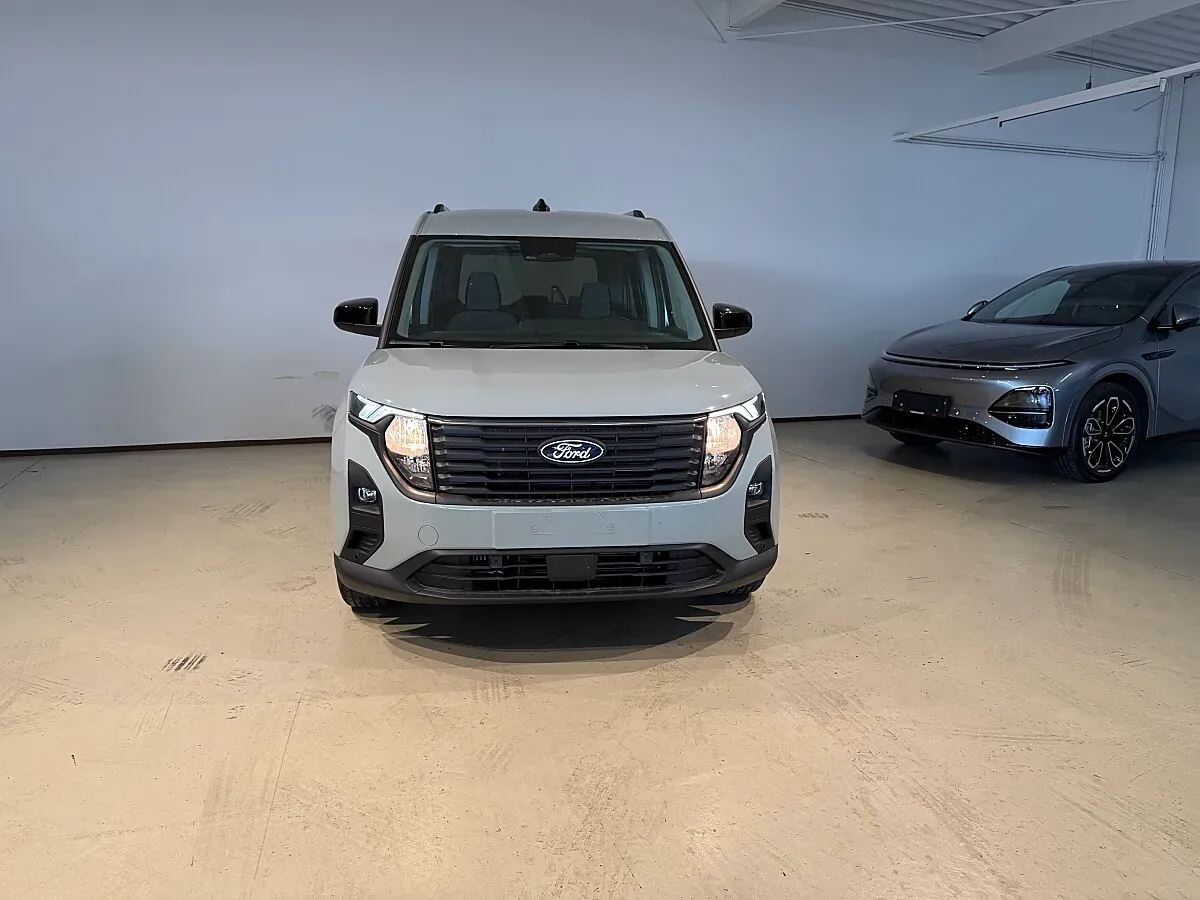 Ford Tourneo photo 3