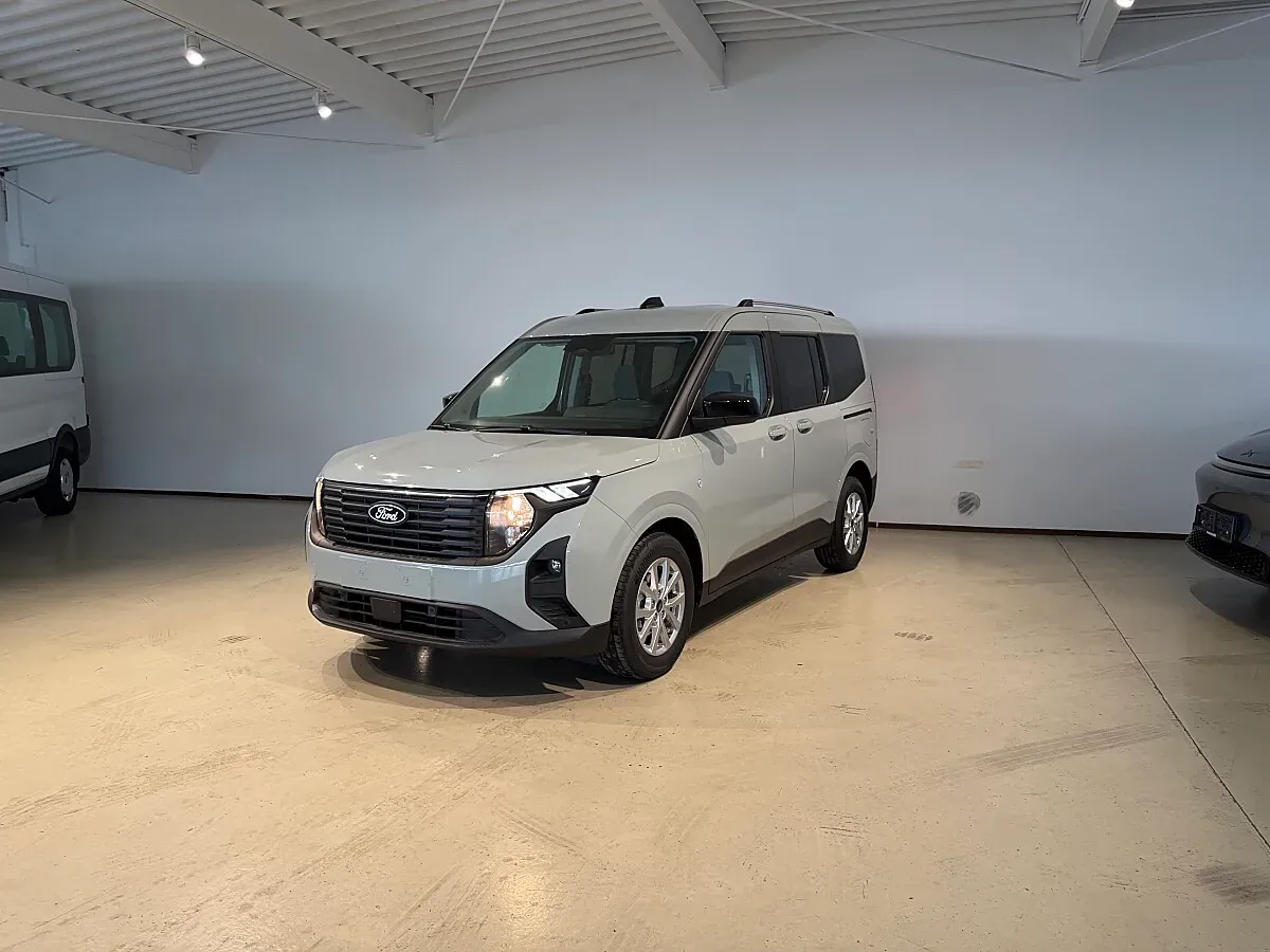 Ford Tourneo photo 2