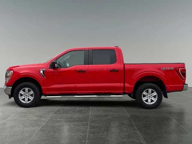 Ford F-150 2021 photo 2