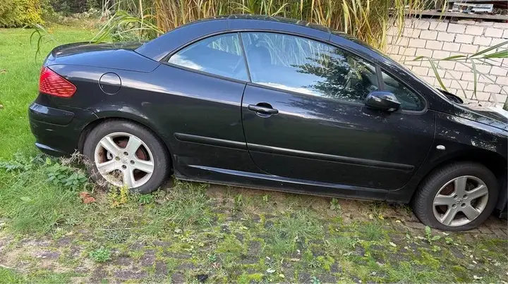 Peugeot 307 Cc