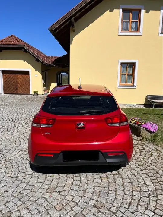 Kia Rio 2020 photo 3