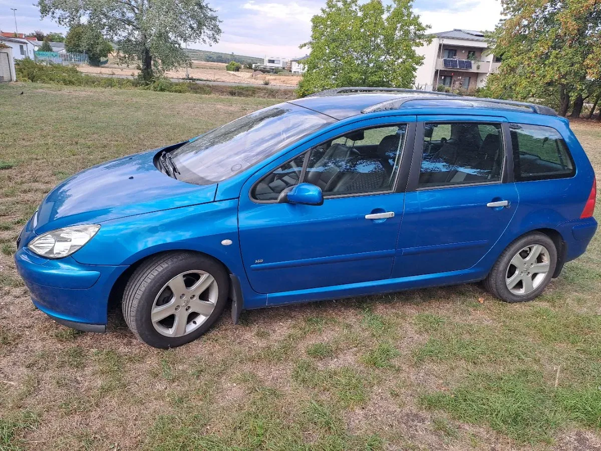 Peugeot 307 2006 photo 2