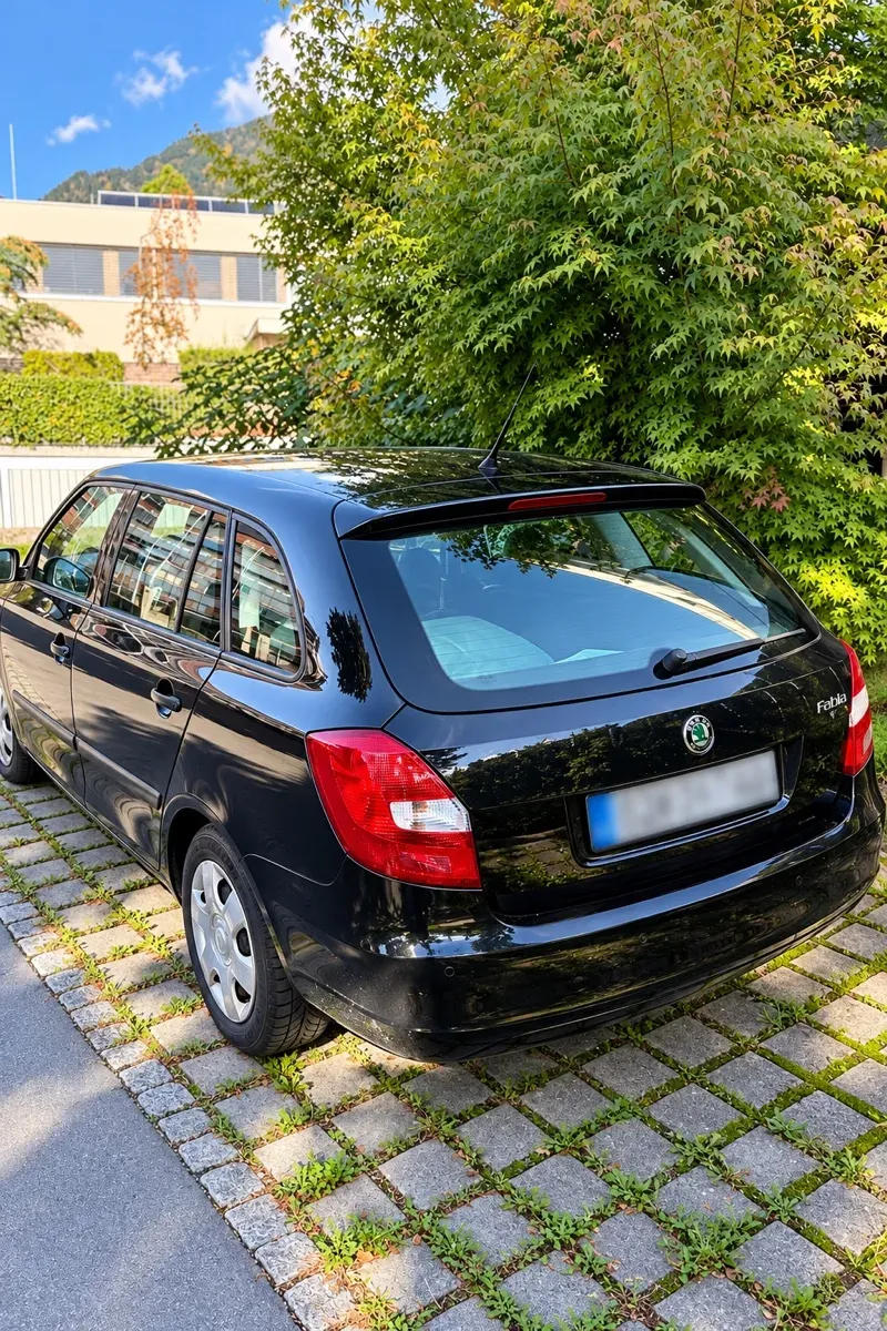 Skoda Fabia 2009 photo 2