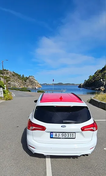 Ford Focus 2019 photo 2