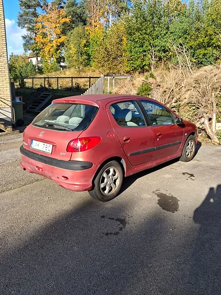 Peugeot 206 2004 photo 3