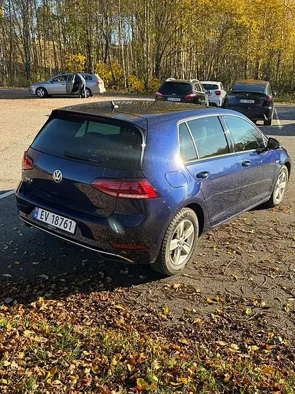 Volkswagen E-Golf Vii 2019 photo 5