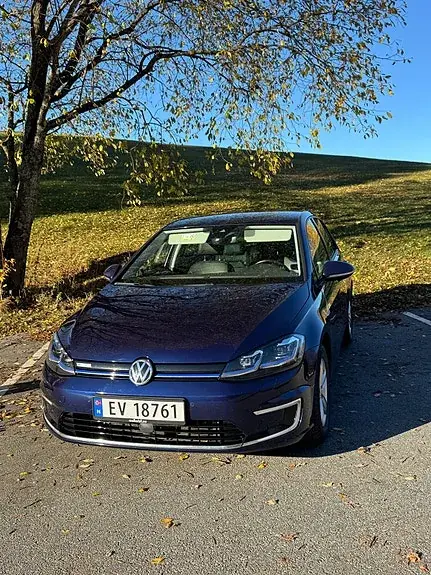 Volkswagen E-Golf Vii 2019 photo 3