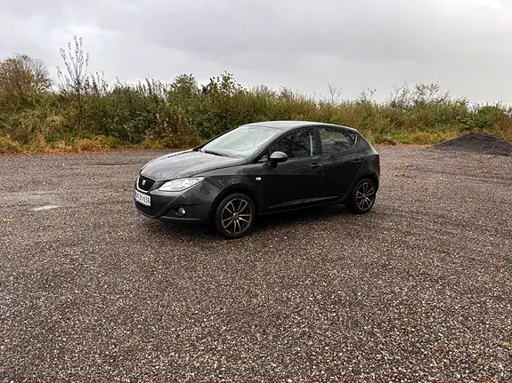 Seat Ibiza 2009 photo 2