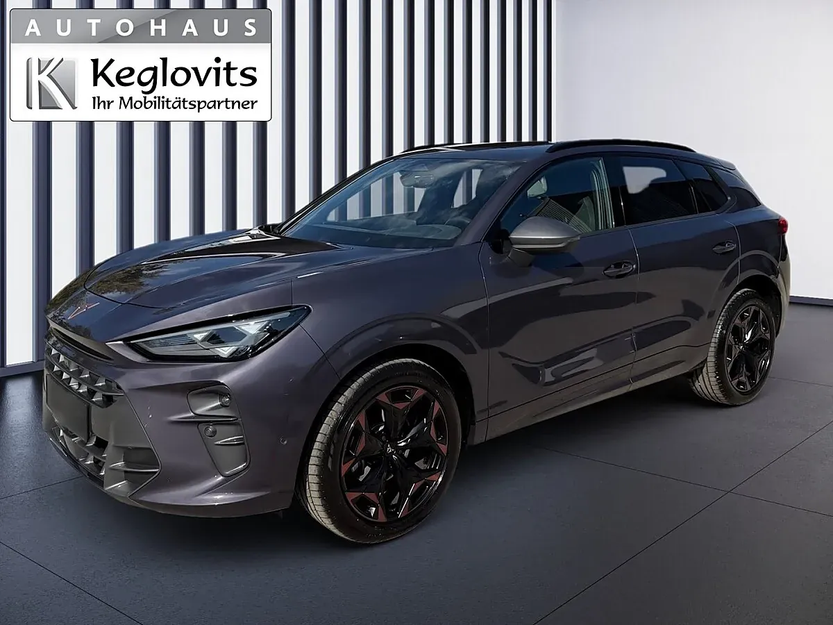 Cupra Terramar 2025 photo 2