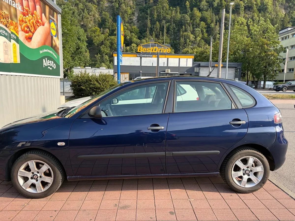Seat Ibiza 2009 photo 3