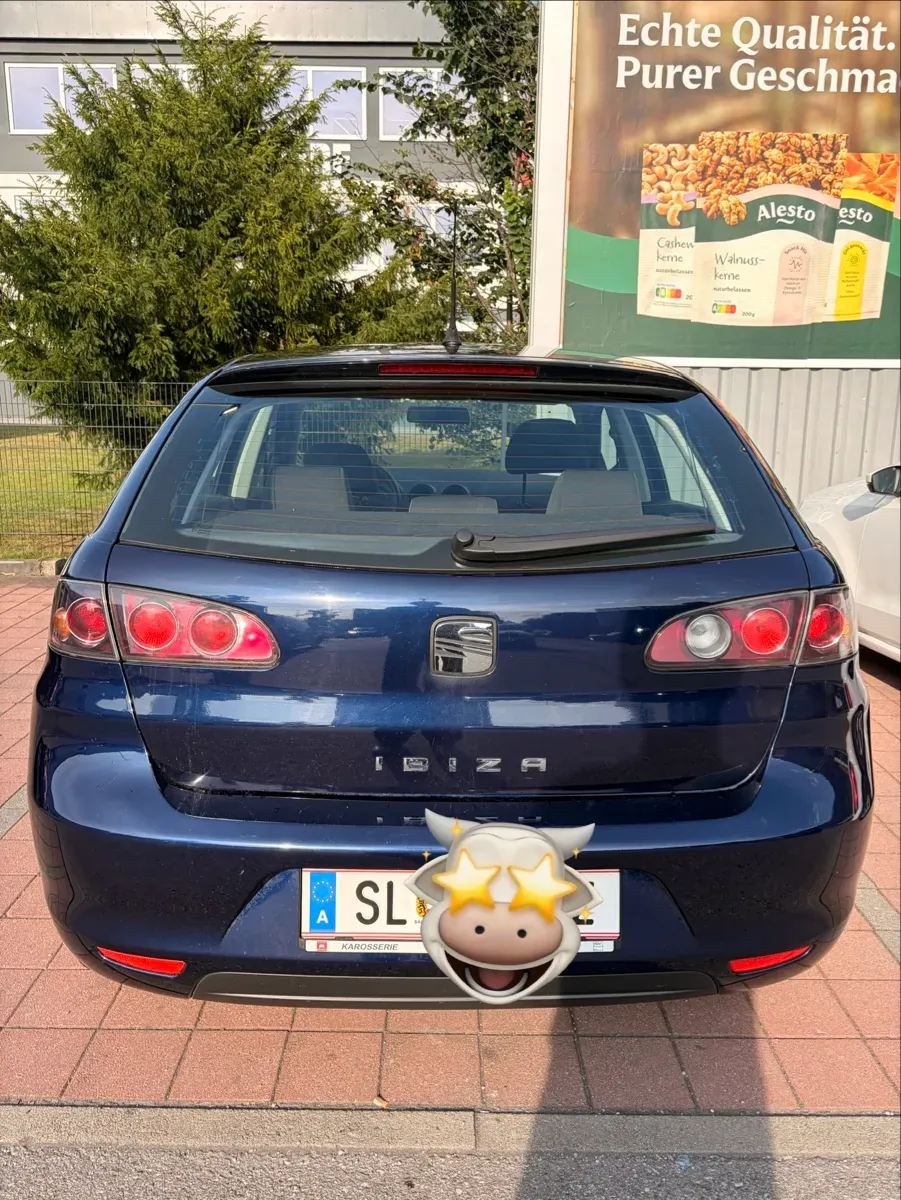 Seat Ibiza 2009 photo 2