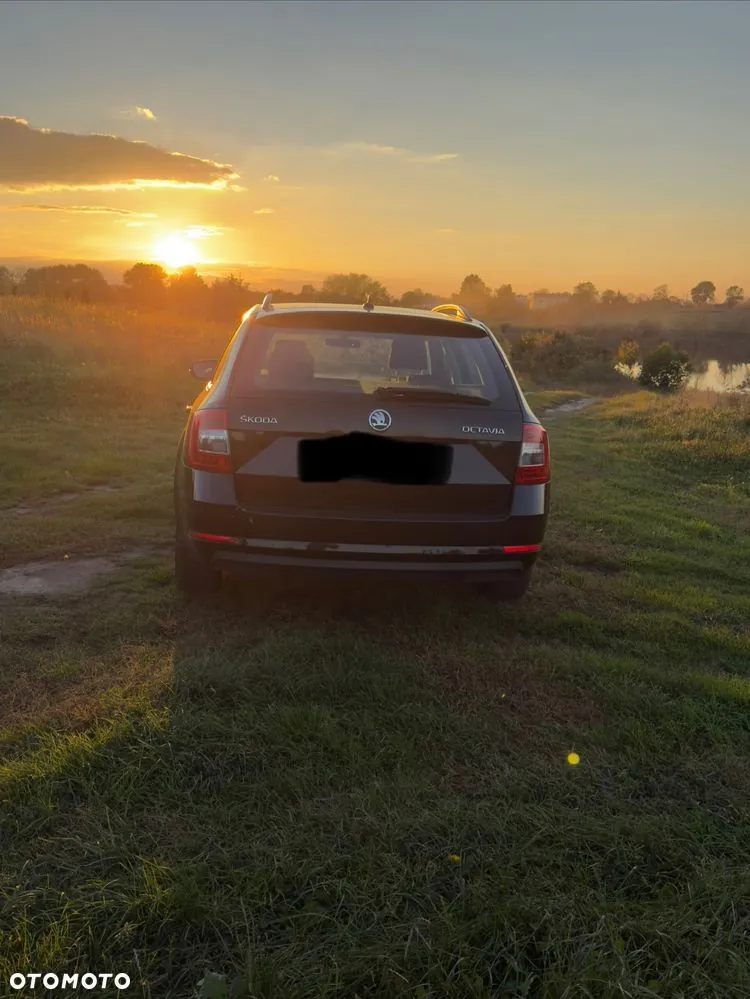 Skoda Octavia 2017 photo 3