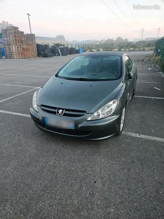 Peugeot 307 2004 photo 2