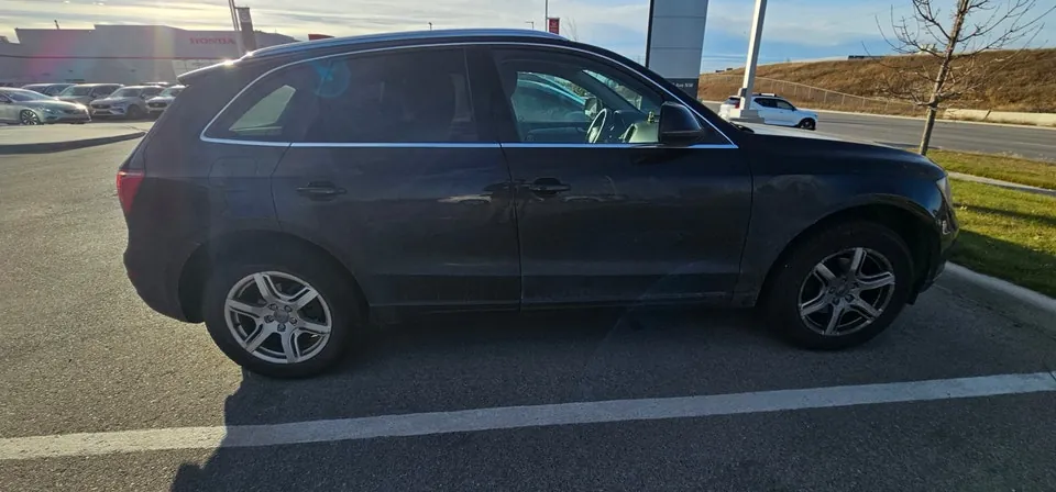 Audi Q5 2010 photo 4