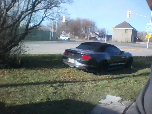 Ford Mustang 2015 photo 3