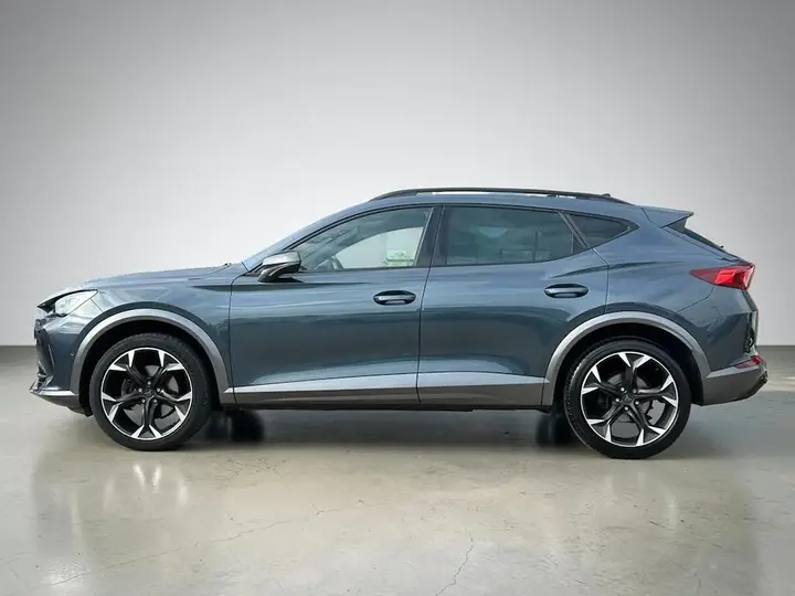 Cupra Formentor 2022 photo 5