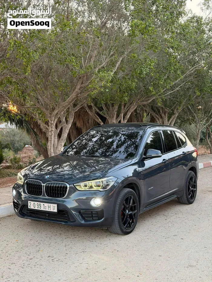 BMW X1 2019 photo 2