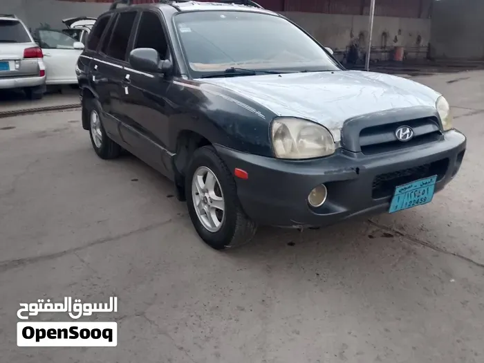 Hyundai Santa Fe 2005 photo 4