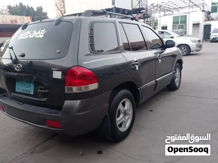 Hyundai Santa Fe 2005 photo 2