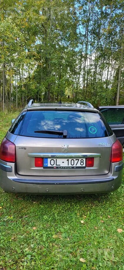 Peugeot 407 2006 photo 2