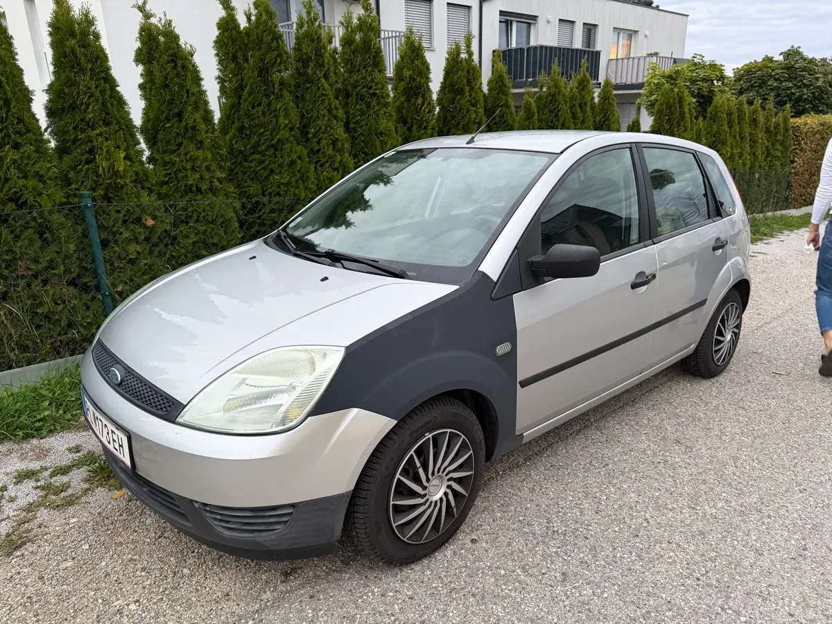 Ford Fiesta 2004 photo 2
