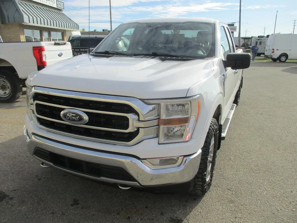 Ford F-150 2021 photo 2
