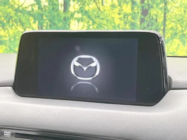 Mitsubishi Cx-8 2018 photo 3