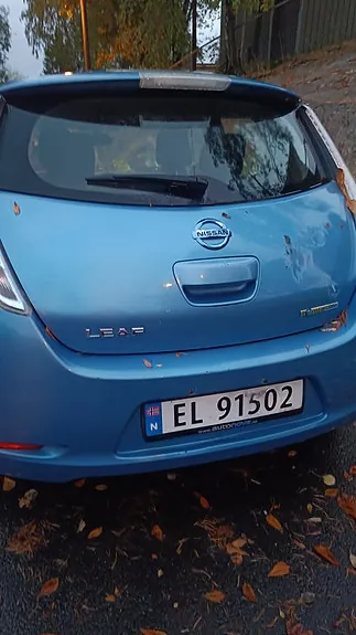Nissan Leaf 2013 photo 4