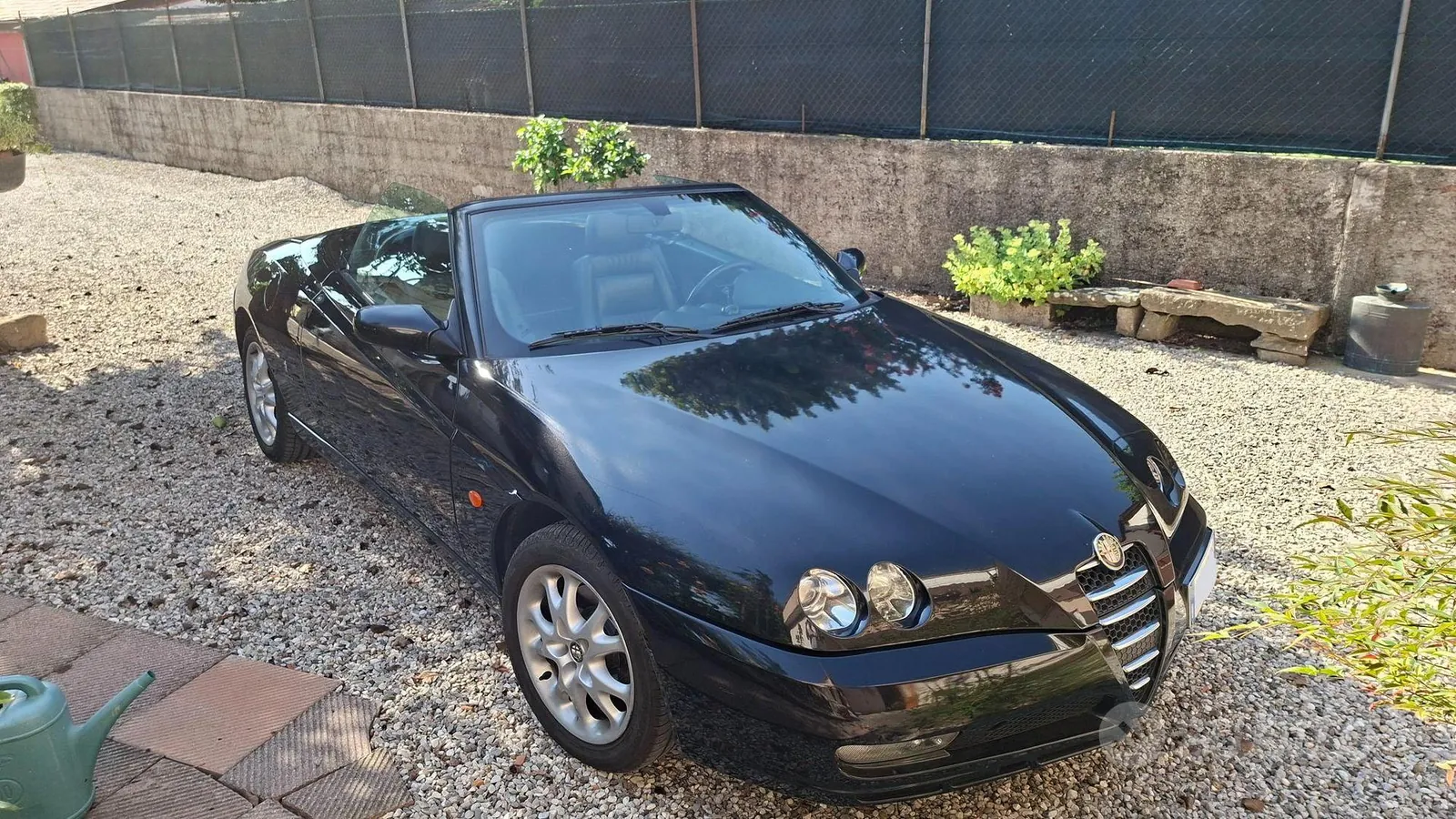 Alfa Romeo Spider