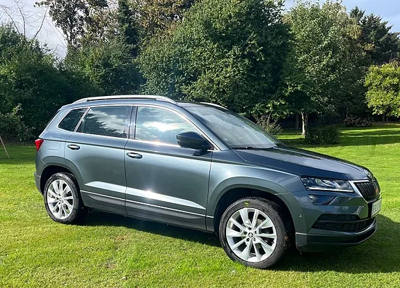 Skoda Karoq 2019 photo 2