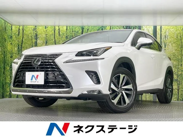 Lexus Nx300