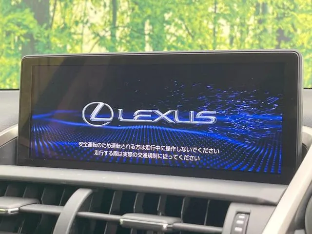 Lexus Nx300 2018 photo 3
