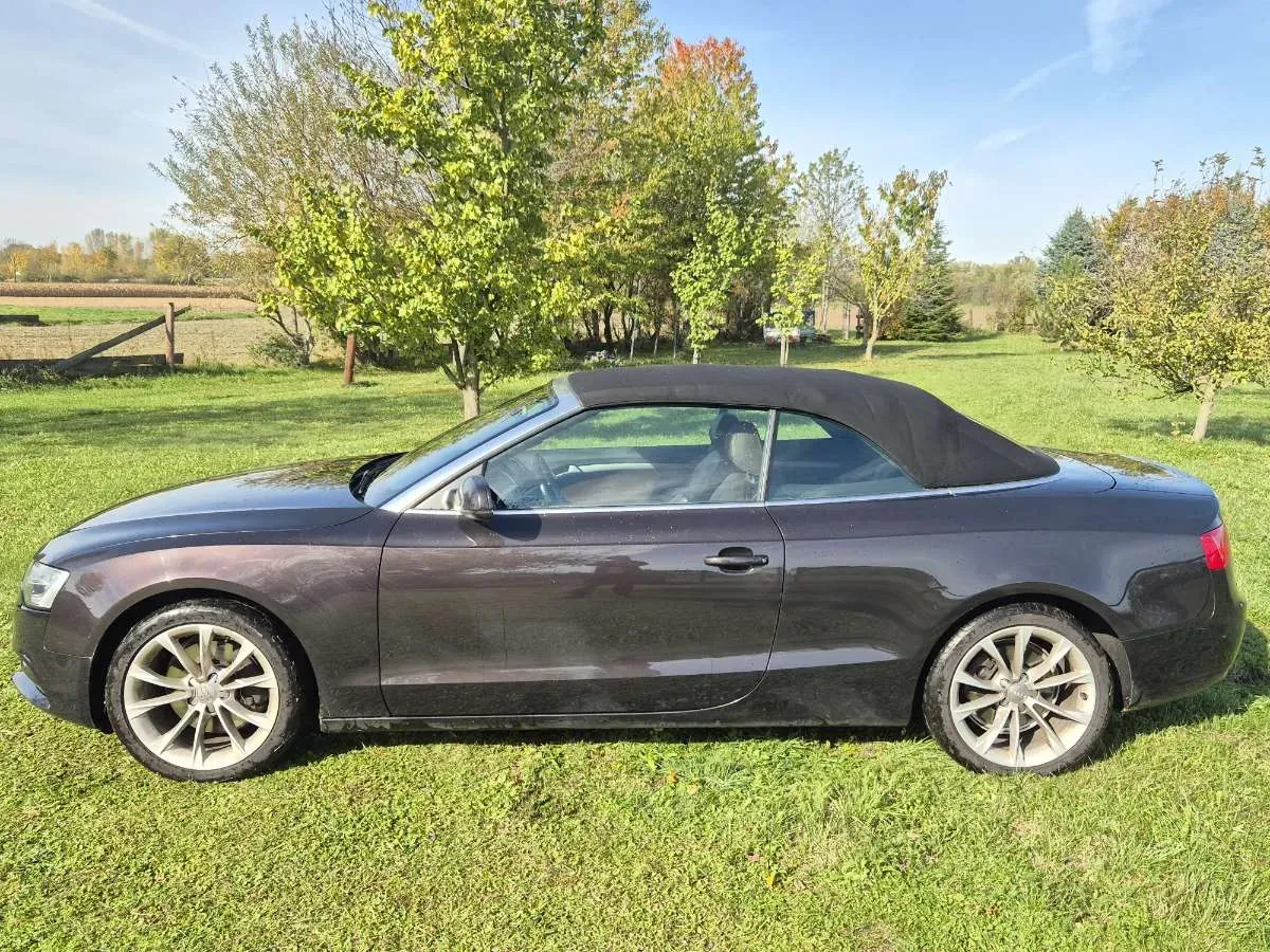 Audi A5 2012 photo 3