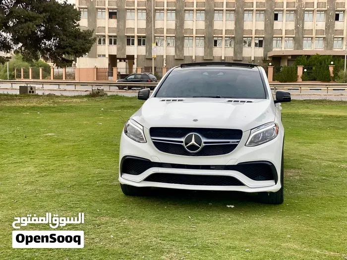 Mercedes-Benz Gle-43 Amg 2019 photo 2