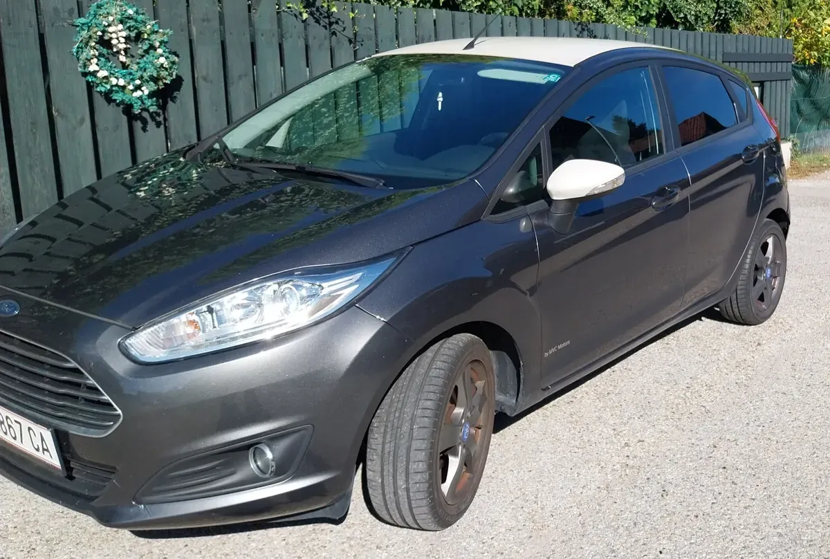 Ford Fiesta 2015 photo 3