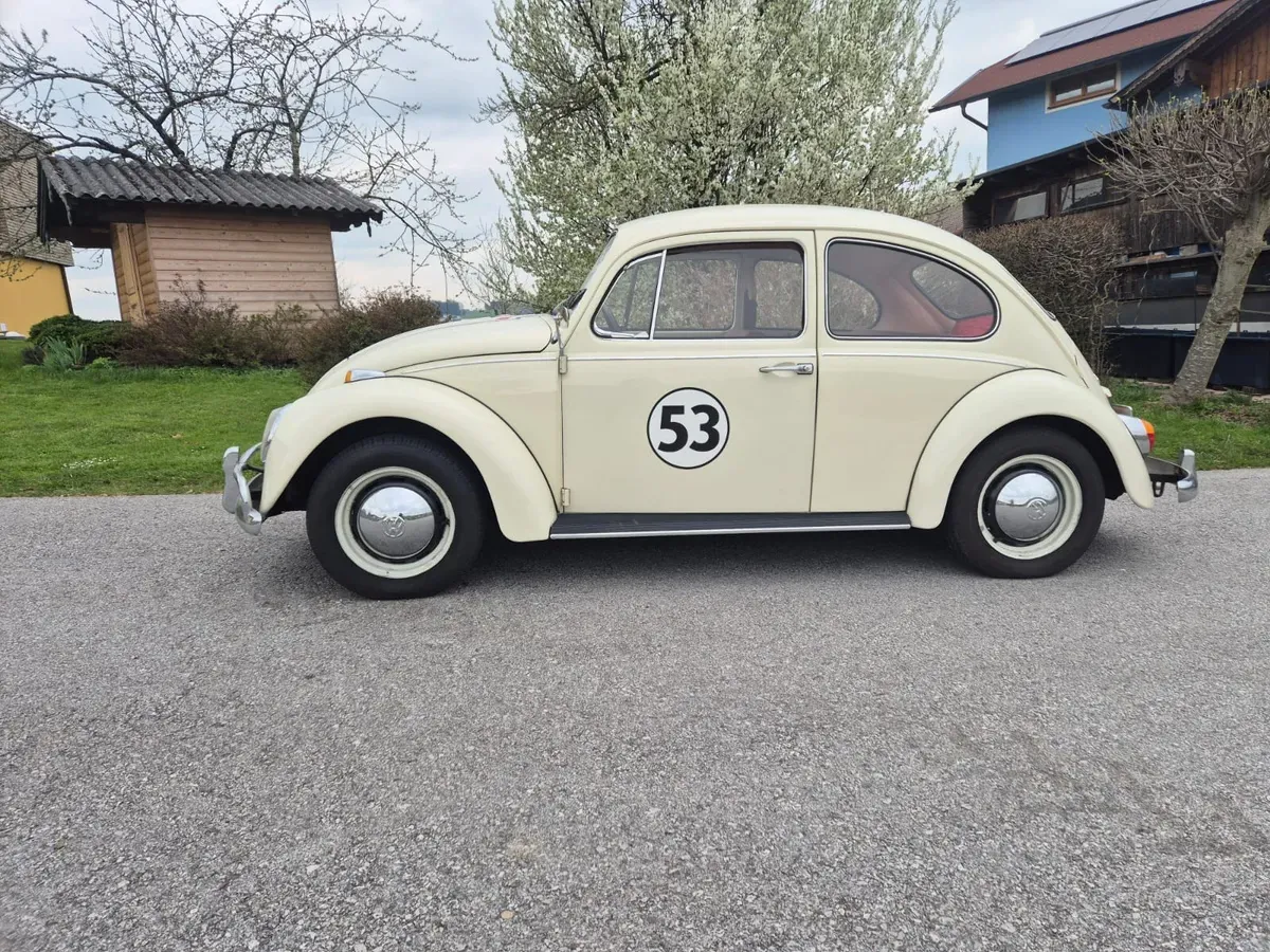 Volkswagen Käfer 1967 photo 2