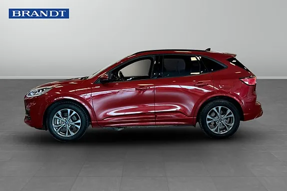 Ford Kuga 2020 photo 3
