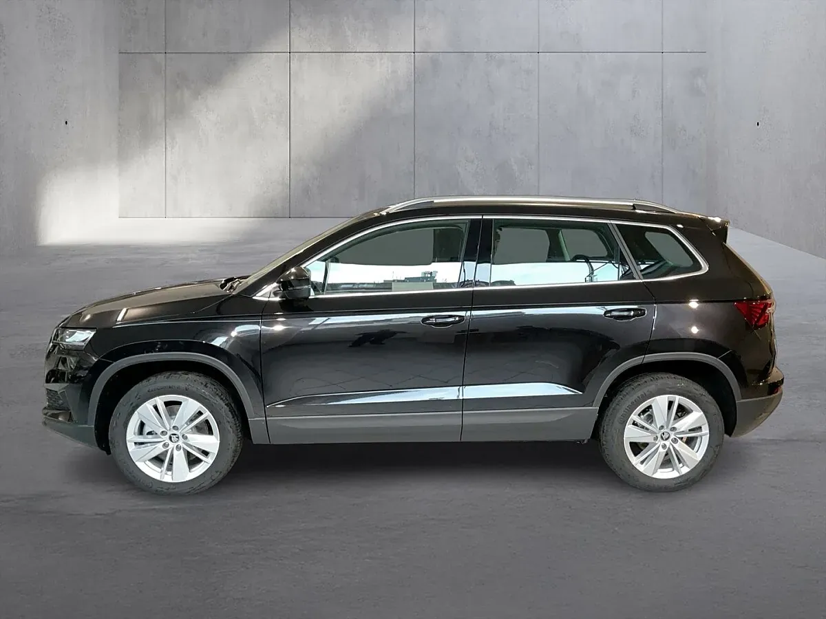 Skoda Karoq 2026 photo 2