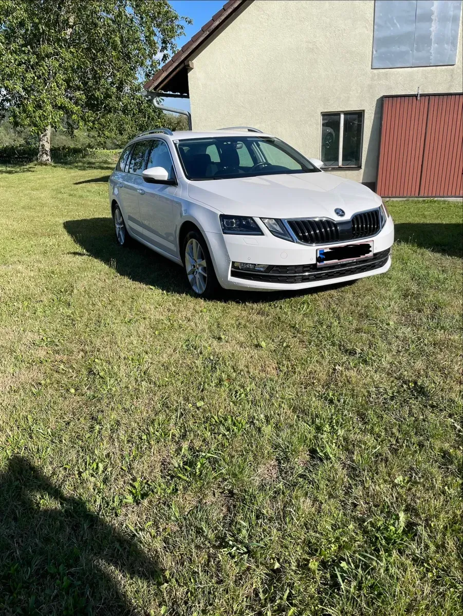 Skoda Octavia 2019 photo 2