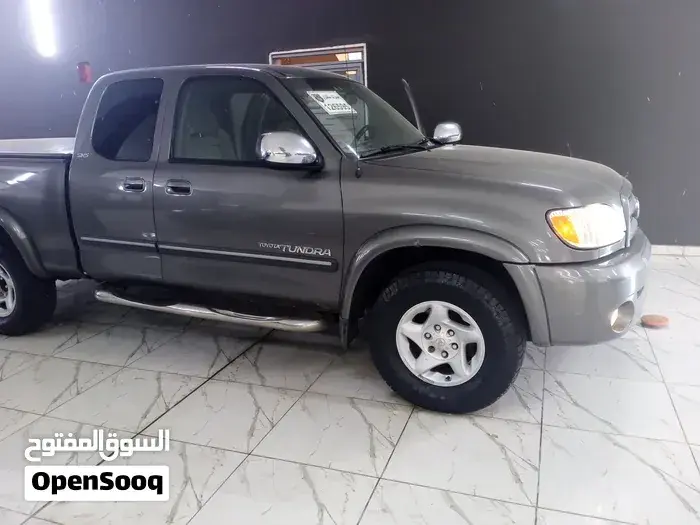 Toyota Tundra 2004 photo 3