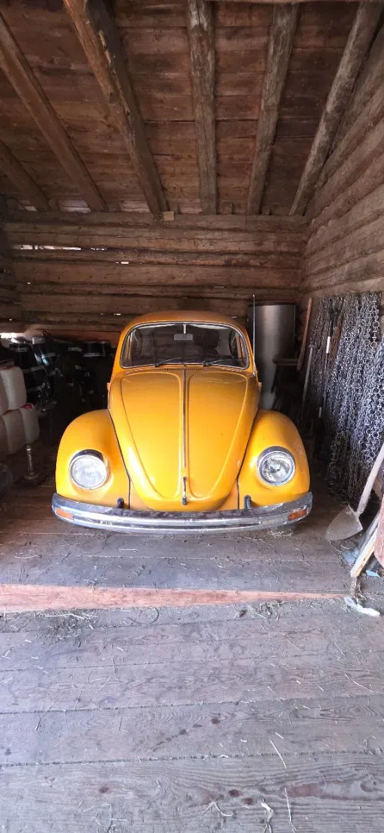 Volkswagen Käfer