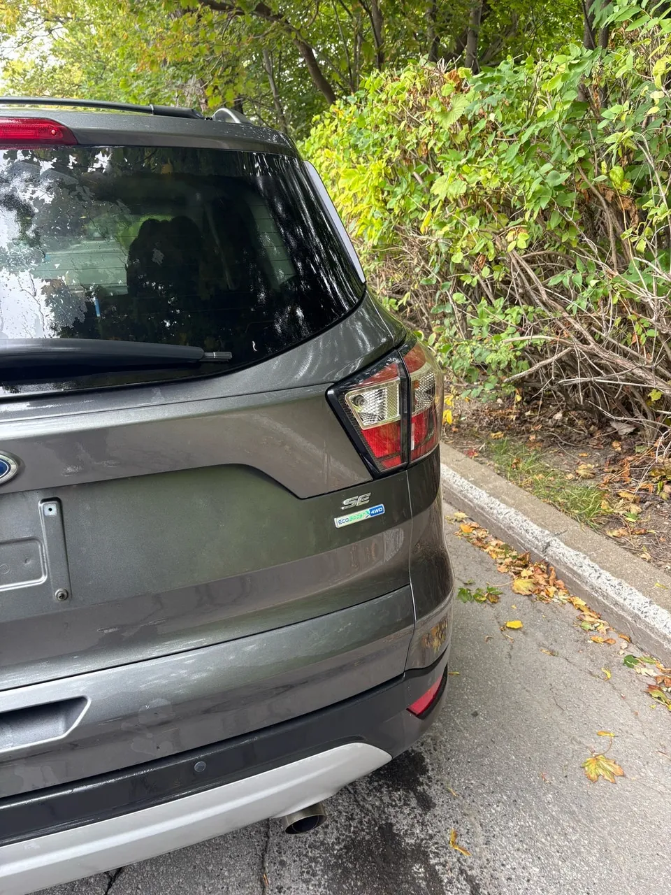 Ford Escape 2017 photo 3