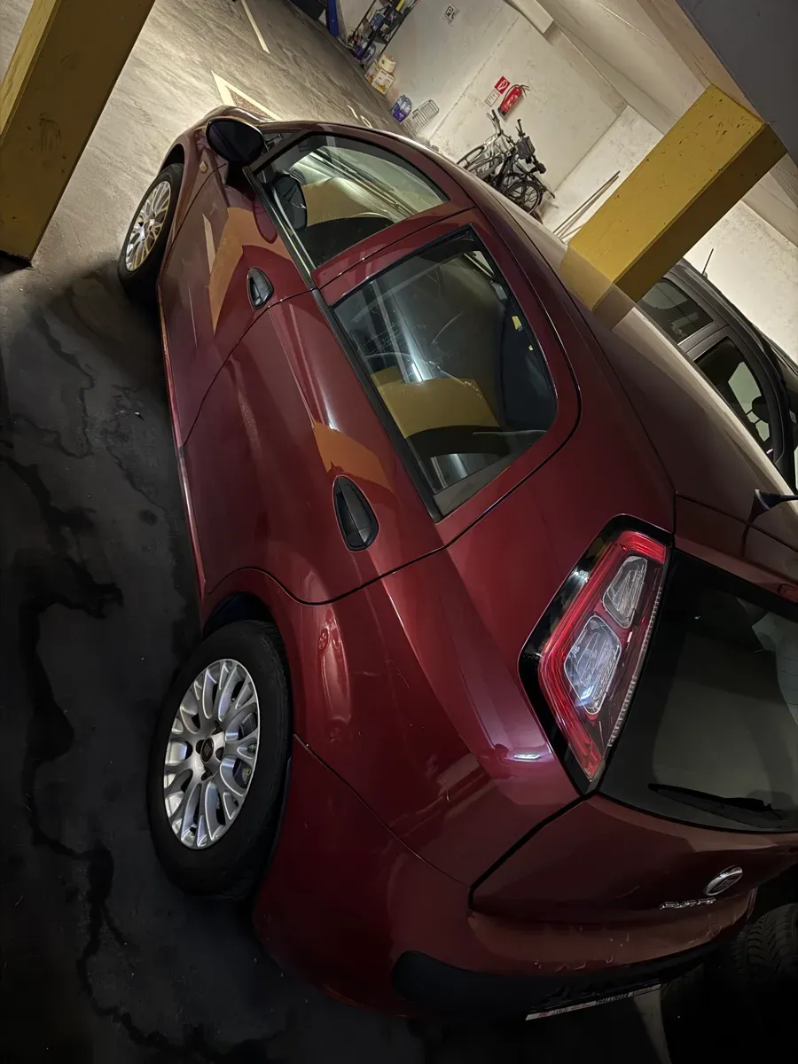 Fiat Punto 2011 photo 2